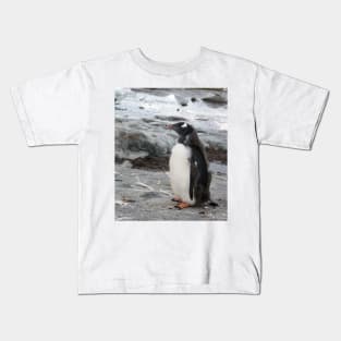Gentoo penguin chick Kids T-Shirt